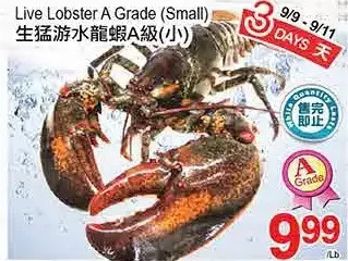 T&T Supermarket Live lobster a grade offer