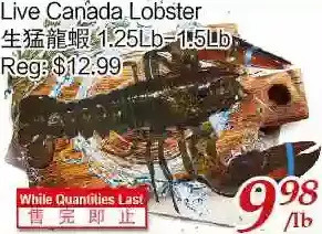 Tone Tai Supermarket Live canada lobster offer