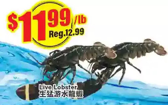 Btrust Supermarket Live lobster offer