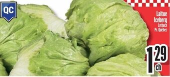 Bonanza Laitue Iceberg offer