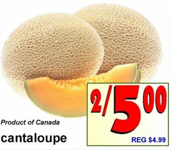 Cantaloupe