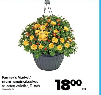 Real Canadian Superstore Farmer's market mum hanging basket offer