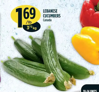 Marché Adonis Lebanese cucumbers offer