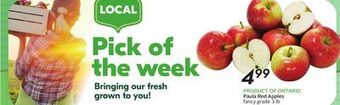 Sobeys Paula red apples offer
