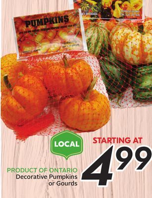 Sobeys Decorative pumpkins or gourds offer