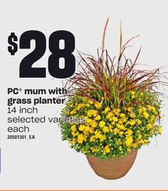 Independent Grocer Pc® mum with grass planter, 14 inch offer