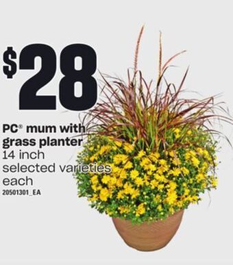 Loblaws Pc® mum with grass planter, 14 inch offer