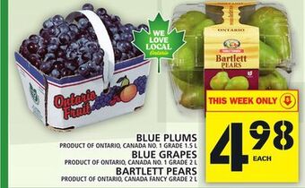 Food Basics Blue plums or blue grapes or bartlett pears offer