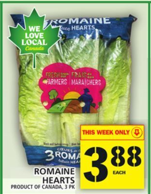 Food Basics Romaine hearts offer