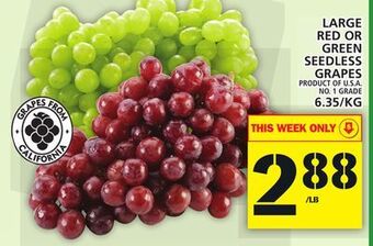 Food Basics Large red or green seedless grapes offer