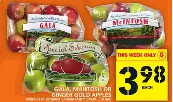 Food Basics Gala, mcintosh or ginger gold apples offer