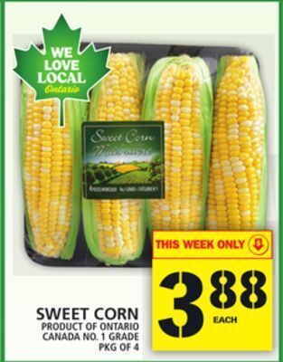 Food Basics Sweet corn offer