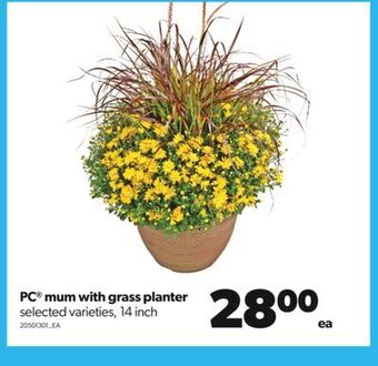 Real Canadian Superstore Pc® mum with grass planter, 14 inch offer