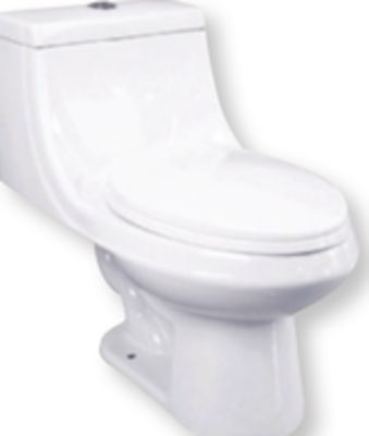 RONA Project source "huali" dual flush 1-piece elongated toilet offer
