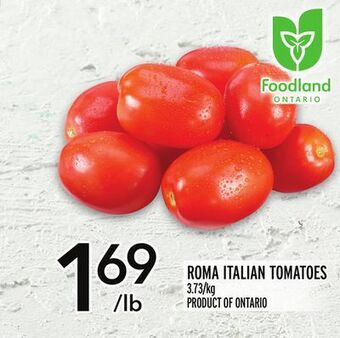 Metro Roma italian tomatoes offer