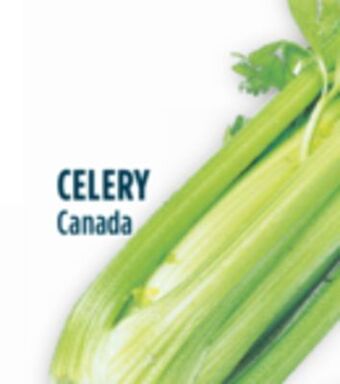 Marché Adonis Celery offer