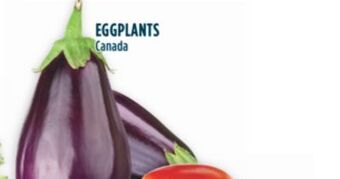 Marché Adonis Eggplants offer