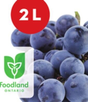 Giant Tiger 2 l blue grapes offer