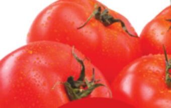 Giant Tiger 4 pack tomatoes offer