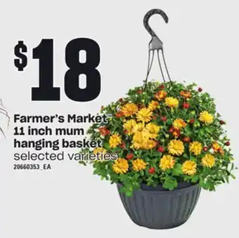 Zehrs Markets Farmer's market™ 11 inch mum hanging basket offer
