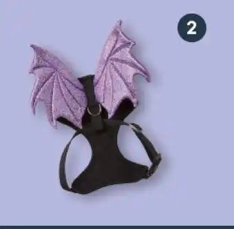Petvalu Hocus pocus dragon harness offer