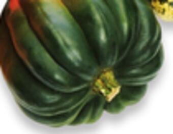 Walmart Assorted squash offer