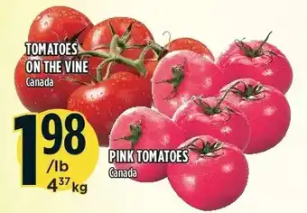 Marché Adonis Tomatoes on the vine | pink tomatoes offer