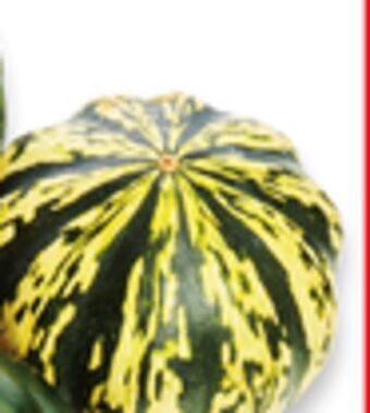 Walmart Assorted squash offer
