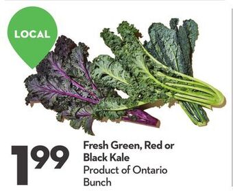 Longo's Fresh green, red or black kale offer