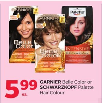 Rexall Garnier belle color or schwarzkopf palette hair colour offer