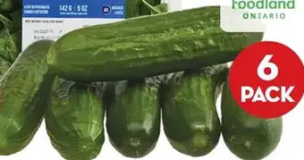 Giant Tiger 6 pack mini cucumbers offer