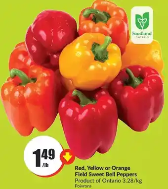 FreshCo Red, yellow or orange field sweet bell peppers offer