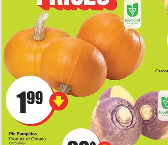 FreshCo Pie pumpkins offer