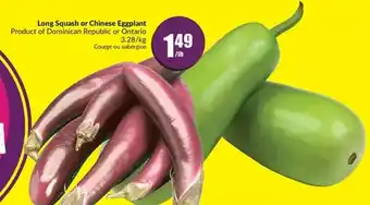 FreshCo Long squash or chinese eggplant offer
