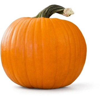 Walmart Large pumpkin offer