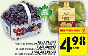 Food Basics Blue plums | blue grapes | bartlett pears offer