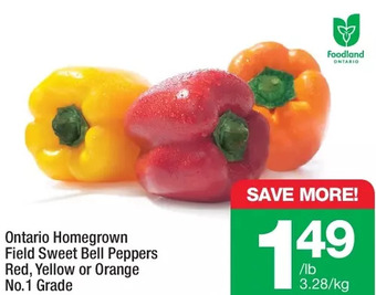 Highland Farms Ontario homegrown field sweet bell peppers offer