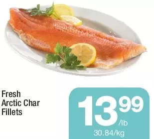 Fresh arctic char fillets