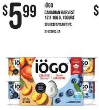 Independent Grocer Iogo canadian harvest yogurt offer