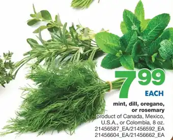 Wholesale Club Mint, Dill, Oregano or Rosemary offer