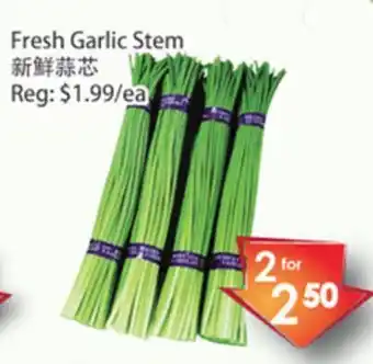 Fresh Palace Supermarket Fresh garlic stem offer