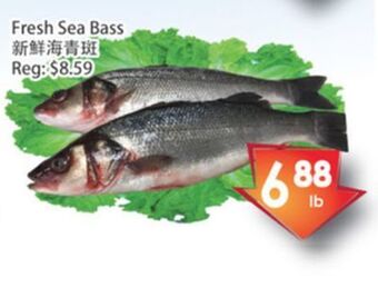 Fresh Palace Supermarket Fresh sea bass offer