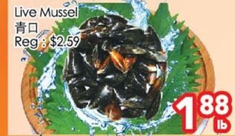 Superking Supermarket Live mussel offer