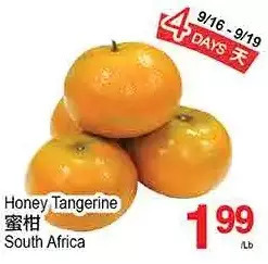 T&T Supermarket Honey tangerine offer
