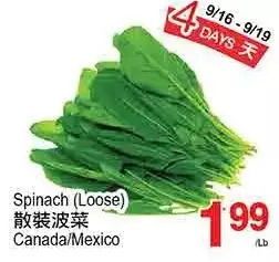 T&T Supermarket Spinach (loose) offer