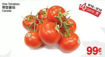 T&T Supermarket Vine tomatoes offer