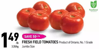 Coppa's Fresh Market Fresh field tomatoes offer