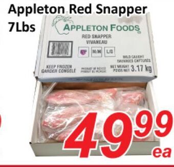 Seasons Foodmart Appleton red snapper 7lbs offer