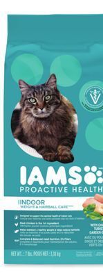 Walmart Iams dry cat food offer