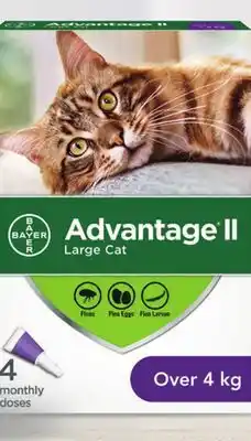 Walmart Advantage ii flea treatment offer